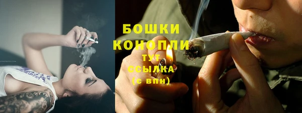 PSILOCYBIN Армянск