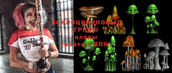 PSILOCYBIN Армянск