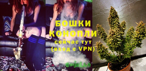 PSILOCYBIN Армянск