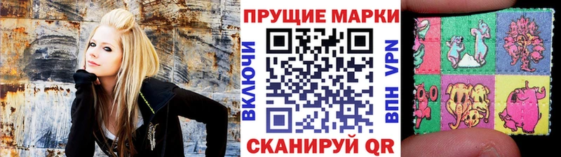 Марки N-bome 1500мкг  MEGA как войти  Верхняя Пышма 