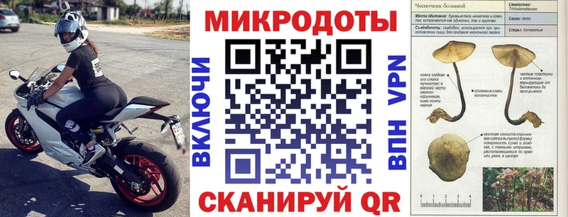 что такое   Верхняя Пышма  Галлюциногенные грибы Cubensis 